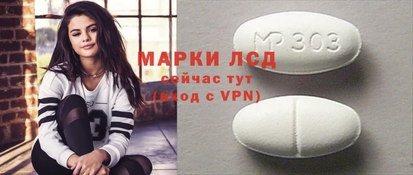 индика Баксан
