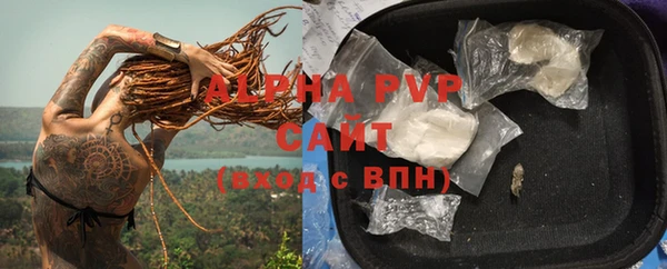 индика Баксан