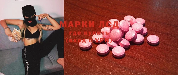 индика Баксан