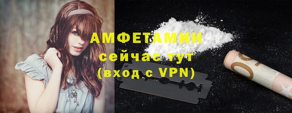 индика Баксан