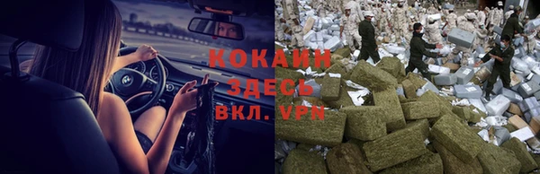 индика Баксан