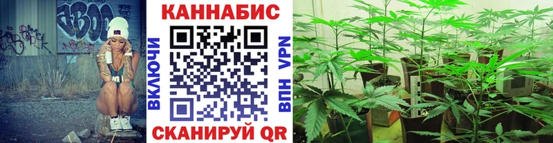 Бошки Шишки семена Белёв